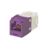PANDUIT CATEGORY 6, UTP, RJ45, 8-POSITION, 8-WIRE UNIVERSAL MODULE, AVAILABLE IN VIOLET